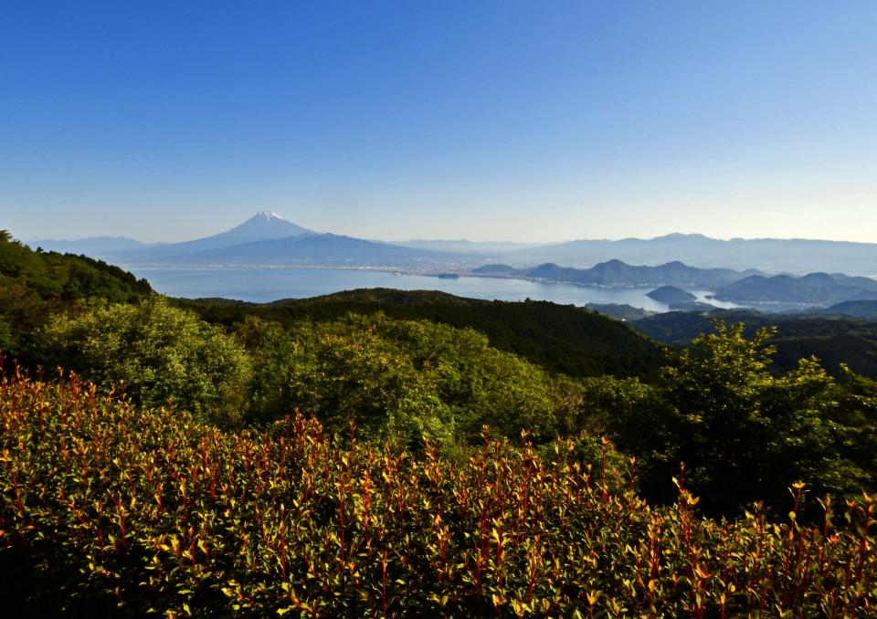 富士遠望