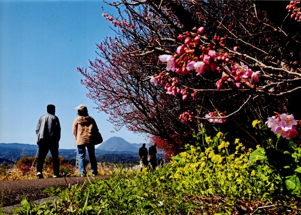 春の散歩道