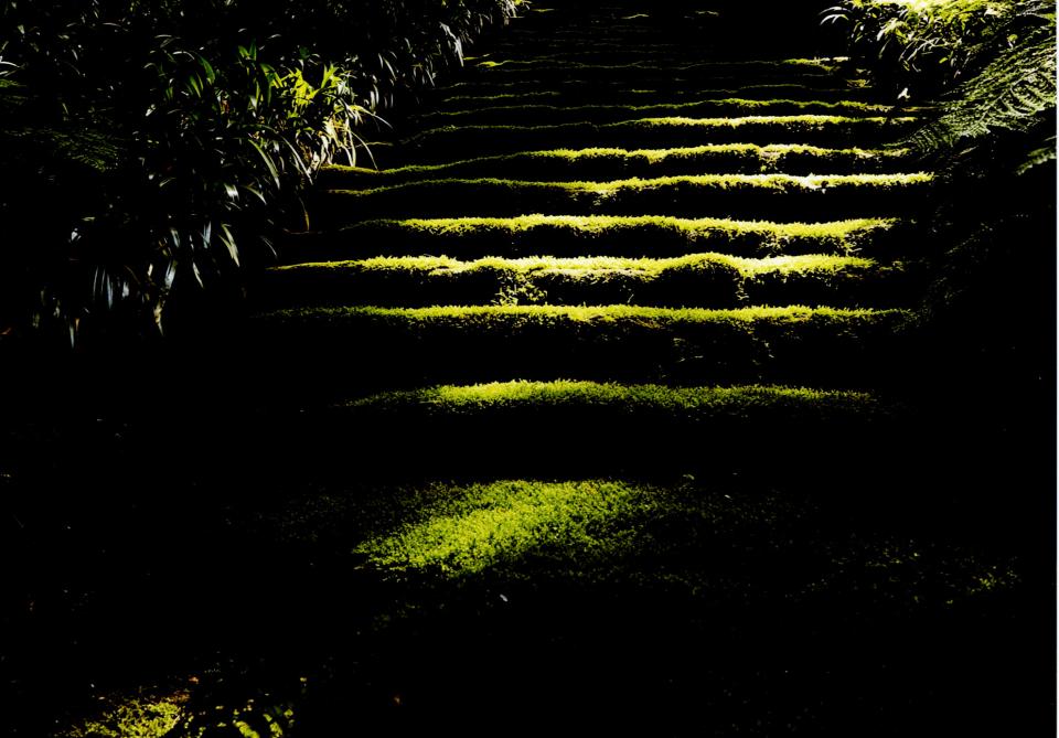 天国への階段・苔寺