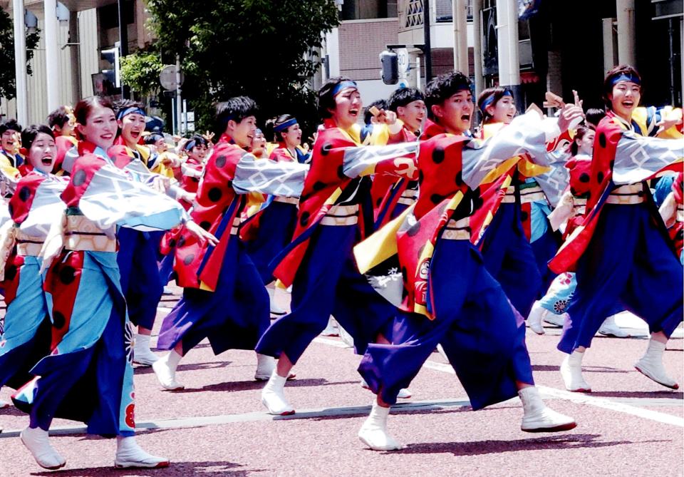 湘南よさこい