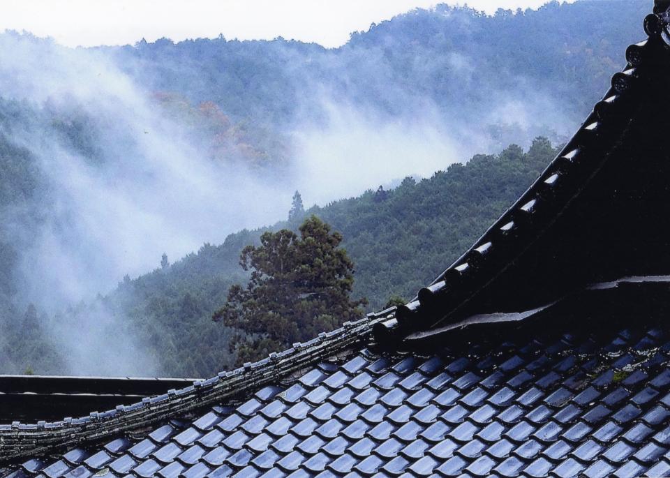 霧雨に霞む吉野山