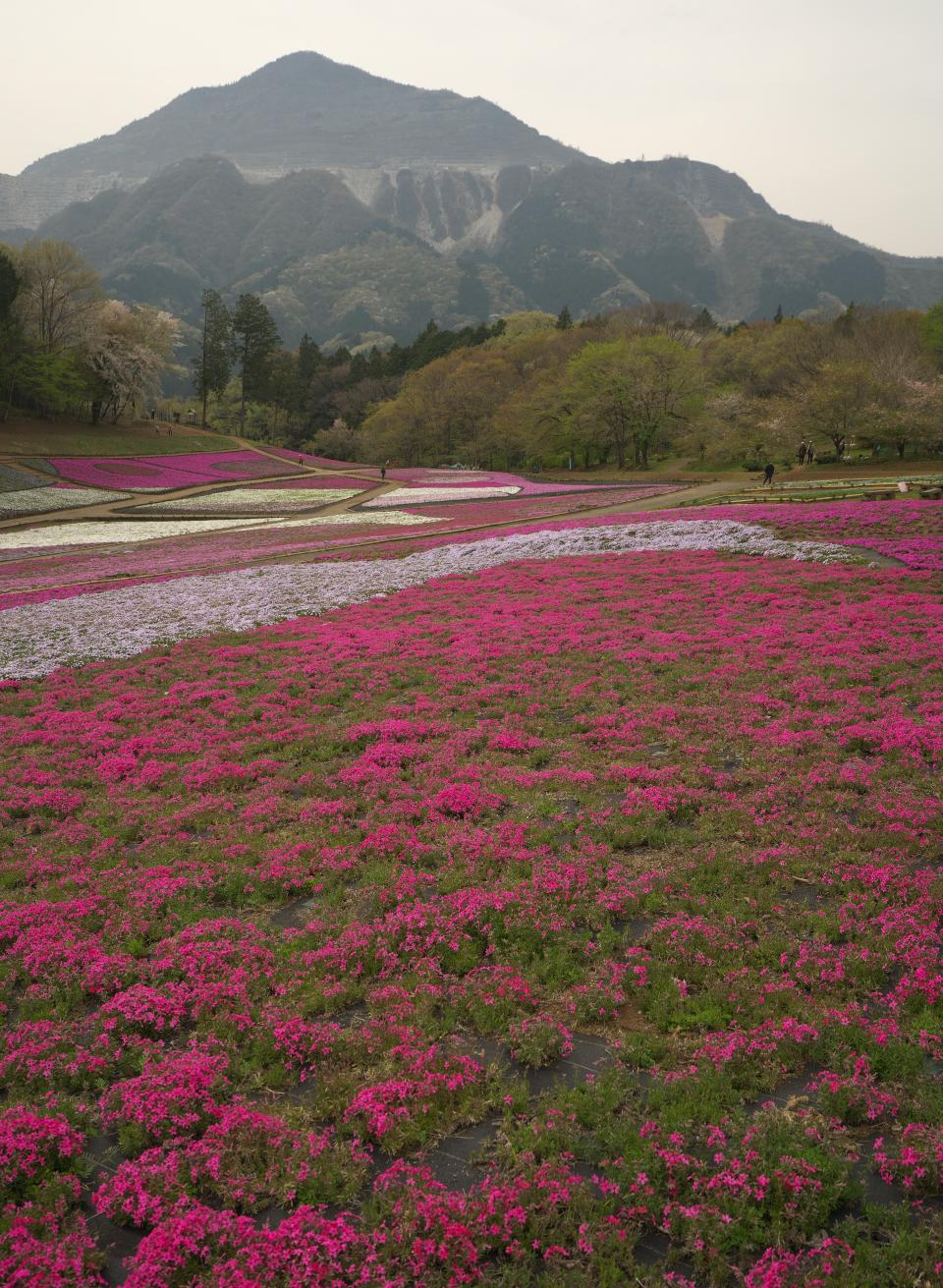 輝く悲愴