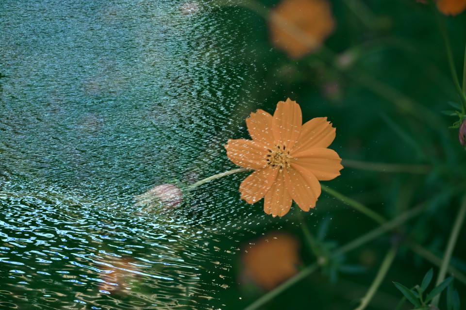 水のヴェールに包まれて