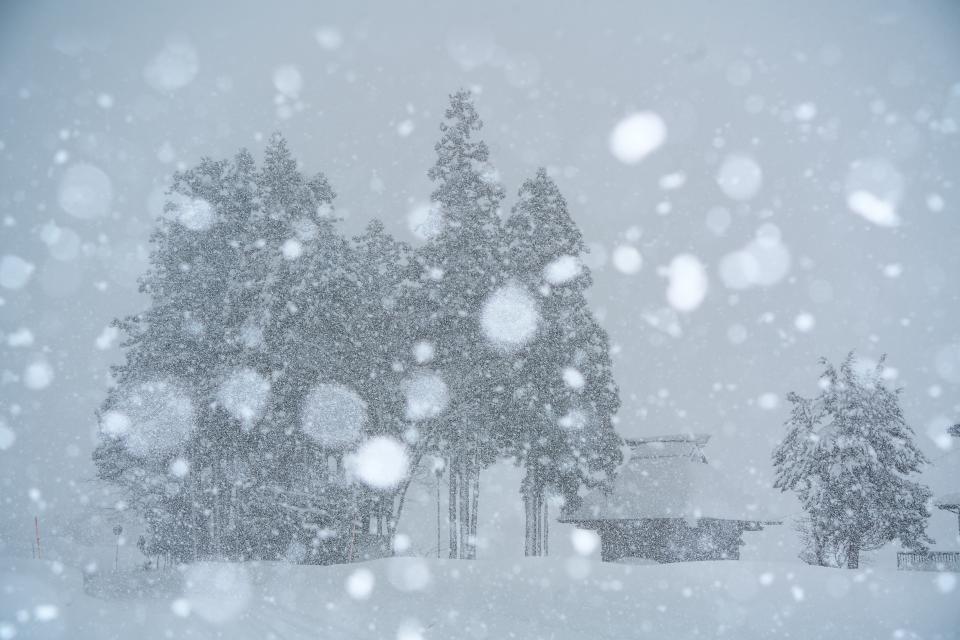 個展「南魚沼の雪景色」展示作品